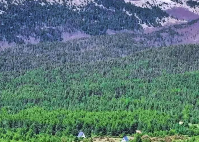 شاليه Madalina Blidinje *