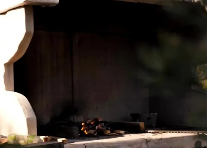 Madalina Blidinje Svinjaca