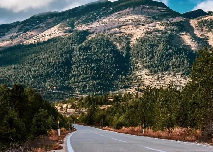 Madalina Blidinje شاليه Svinjaca